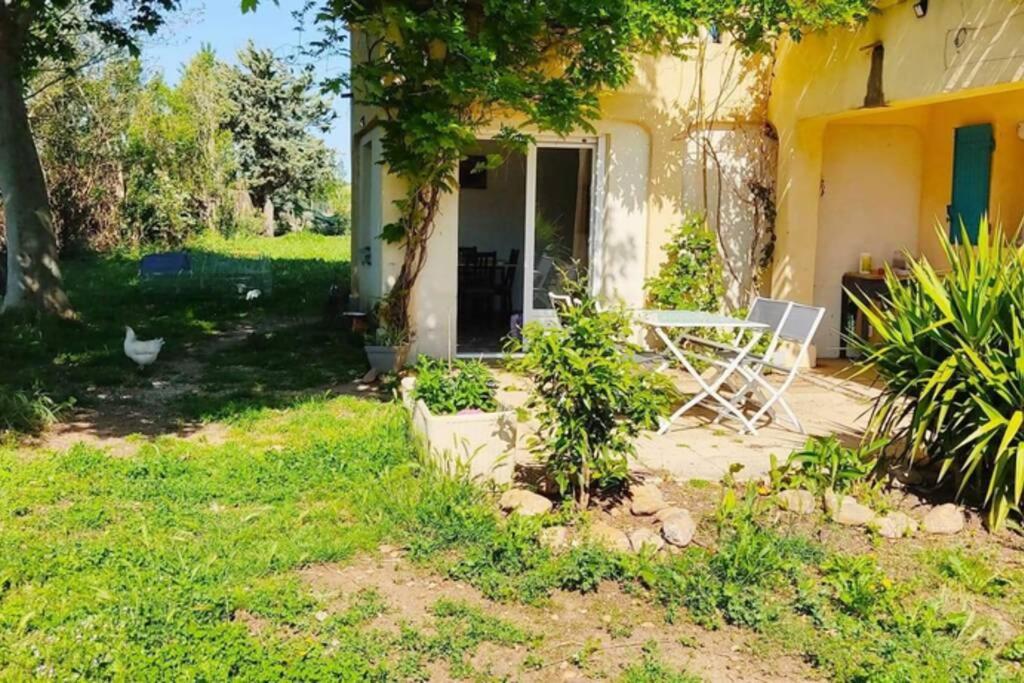 Offrez-Vous Un Sejour Dans Notre Gite A Entressen Une Grande Piscine Pour Se Rafraichir ,Un Espace De Jeux Pour Enfants Pour Des Heures De Divertissement Un Terrain De Petanque Pour Des Parties Endiablees Exterior foto